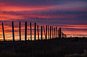 USA, Idaho, Bellevue, Silhouette of fence in field at sunset