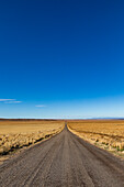 USA, Nevada, Winnemucca, leere Wüstenstraße und blauer Himmel