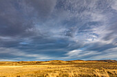 Vereinigte Staaten, Nevada, Winnemucca, goldene Wiese und stürmischer Himmel