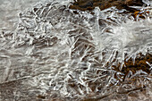 United States, Utah, Escalante, Frozen river surface cracks
