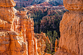 Vereinigte Staaten, Utah, Bryce Canyon National Park, Hoodoo Felsformationen im Canyon
