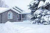 United States, Idaho, Bellevue, House and fir trees covered with fresh snow