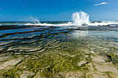 South Africa, Western Cape, Coastline and tidal pools in Lekkerwater Nature Reserve