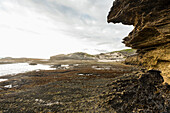 South Africa, Western Cape, Coastal rock formations in Lekkerwater Nature Reserve