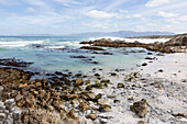 South Africa, Western Cape, Ocean beach in Walker Bay Nature Reserve