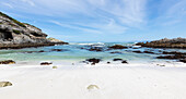 South Africa, Western Cape, Ocean beach in Walker Bay Nature Reserve