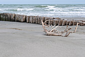 Blick auf Holzpfähle als Wellenbrecher an einem wilden Strand, Podelta, Venetien, Italien, Europa