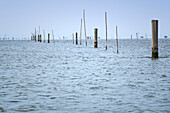 Blick auf die Lagune im Podelta, Venetien, Italien, Europa