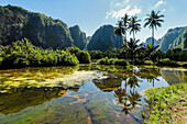 Limestone peaks and palms reflected on fish pond in karst region, Rammang-Rammang, Maros, South Sulawesi, Indonesia, Southeast Asia, Asia