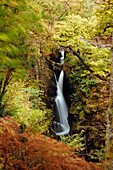 Aira Force Wasserfall, Nationalpark Lake District, UNESCO-Weltkulturerbe, Cumbria, England, Vereinigtes Königreich, Europa