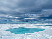 Ein Schmelzwasserbecken auf Meereis des ersten Jahres in der Nähe von Snow Hill Island, Weddellmeer, Antarktis, Polarregionen