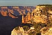 View from Cape Royal, North Rim, Grand Canyon National Park, UNESCO World Heritage Site, Arizona, United States of America, North America