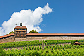 Schloss Esslingen, Esslingen am Neckar, Baden-Württemberg, Deutschland, Europa