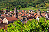 Riquewhir, umgeben von Weinbergen, Elsass, Elsässische Weinstraße, Haut-Rhin, Frankreich, Europa
