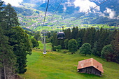 Cable car uphill among green alpine meadows and forest, Grindelwald, Mannlichen, Jungfrau Region, Bern Canton, Swiss Alps, Switzerland, Europe