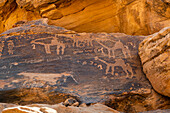 Rock Art in the Ha'il Region, UNESCO World Heritage Site, Jubbah, Kingdom of Saudi Arabia, Middle East