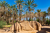 Oasis of Al Ula, Kingdom of Saudi Arabia, Middle East