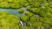 Aerial of the Mangrove forest, Farasan islands, Kingdom of Saudi Arabia, Middle East