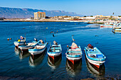Fishing port of Mirbat with small fishing boats, Salalah, Oman, Middle East