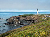 Yaquina Head lighthouse, Oregon, United States of America, North America