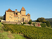 Das Schloss Pierreclos und Weingut in der Nähe von Macon, Saône-et-Loire, Burgund, Frankreich, Europa