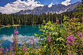 Latemar-Gebirge spiegelt sich im Karersee (Karersee) im Sommer, Südtirol, Dolomiten, Italien, Europa