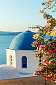 Blau gewölbtes weißes Gebäude mit bunten Blumen im Vordergrund, Oia, Santorini, Kykladen, griechische Inseln, Griechenland, Europa