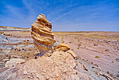 A hoodoo formation called Medusa's Child, below the cliffs of Agate Plateau in Petrified Forest National Park, Arizona, United States of America, North America