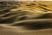 Gentle rolling hills of Val d'Orcia in winter time, Tuscany, Italy, Europe