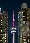 CN Tower bei Nacht umrahmt von modernen Wohnblöcken, Toronto, Ontario, Kanada, Nordamerika