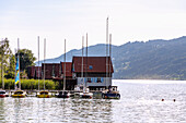 Bootshäuser am Großen Alpsee am Kurpark von Bühl am Alpsee in Oberallgäu in Bayern in Deutschland