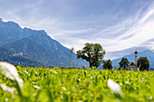 Pilgrimage Church of St. Coloman near Schwangau with a view of Neuschwanstein Castle in the Ostallgäu in Bavaria in Germany