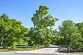 Malerische Campus-Landschaft, Swarthmore College, Swarthmore, Pennsylvania, USA