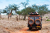 Touristen im Busch, Massai-Giraffe (Giraffa Plancius Tippelskirchi), Lualenyi Ranch, Taita-Taveta County, Kenia, Ostafrika, Afrika