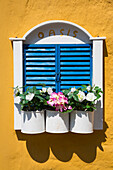 Blumen mit blauen Fensterläden am Hausfenster, Hafen von Emborio, Chalki (Chalki) Insel, Dodekanes-Gruppe, griechische Inseln, Griechenland, Europa