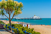 Blick auf die Strandpromenade, Pier und Strand im Sommer, Eastbourne, East Sussex, England, Vereinigtes Königreich, Europa
