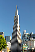 Transamerica Pyramid, Financial District, San Francisco, California, United States of America, North America