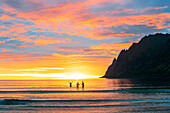 Cheerful woman with friends having fun in the sea during the midnight sun, Ersfjord, Senja, Troms county, Norway, Scandinavia, Europe