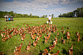 Ein Bauer, der sich darauf vorbereitet, seine Herde freilaufender Hühner auf der Rockland Farm in der Nähe von Seneca, Maryland, Vereinigte Staaten von Amerika, Nordamerika zu füttern