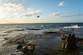 A kiteboarder jumps high over rocks at Montones, Puerto Rico, Caribbean, Central America