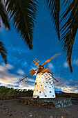 Palmen umrahmen eine einsame Windmühle unter der Milchstraße, El Cotillo, La Oliva, Fuerteventura, Kanarische Inseln, Spanien, Atlantik, Europa