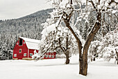 Fresh snow on red barn near Salmo, British Columbia, Canada.