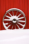 Canada, Banff, Martin Stables, wheel detail. (Editorial Usage Only)