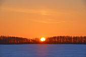 Kanada, Manitoba, Grande Pointe. Sonnenaufgang über der Prärie mit Shelterbelt-Bäumen