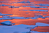 Sonnenuntergang Reflexionen, Grönlandmeer, Ostküste von Grönland