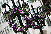 USA, California, Los Angeles, Beverly Hills: Rodeo Drive, Christmas Decorations