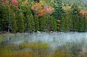 USA, Maine. Acadia National Park, morning fog at Bubble Pond.