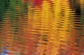 Usa, Massachusetts, Acton. Reflection of autumn foliage in pond with ripples.