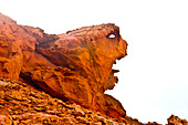 USA, Nevada, Mesquite. Gold Butte National Monument, Little Finland red rock sculptures, The Gargoyle