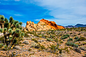 USA, Nevada, Mesquite. Goldbutte-Nationaldenkmal, Whitney Pocket